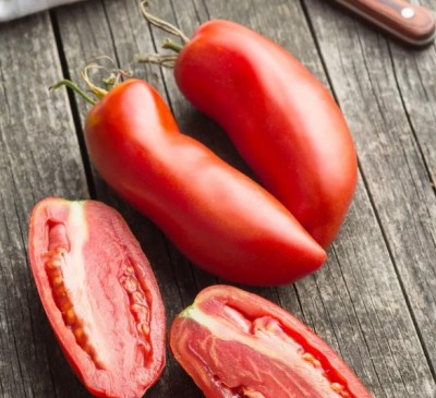 Tomato  Pepper Red